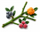 Labrador Berries - Home